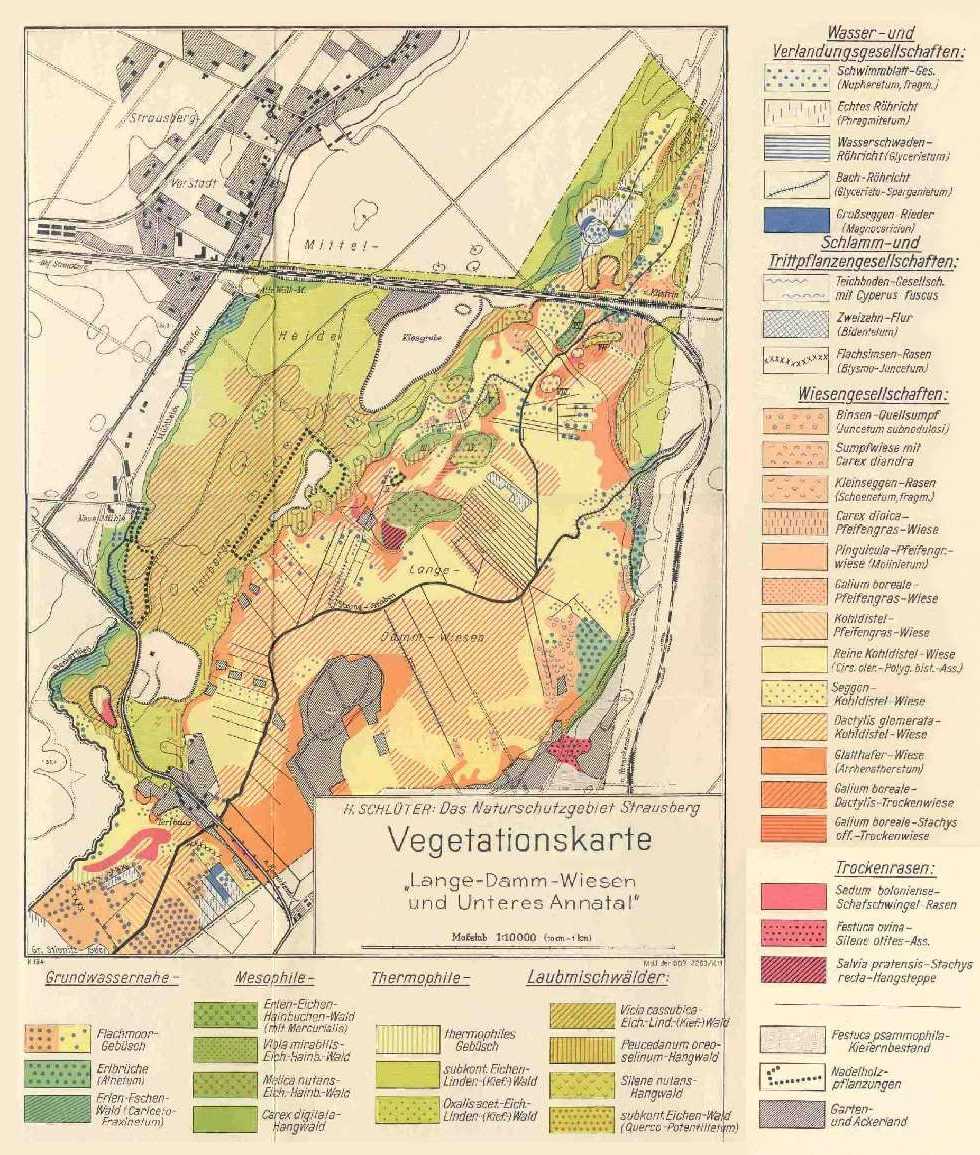 Vegetationskarte